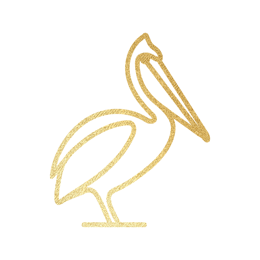 Dirty Pelican logo