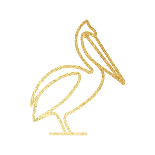 Dirty Pelican logo